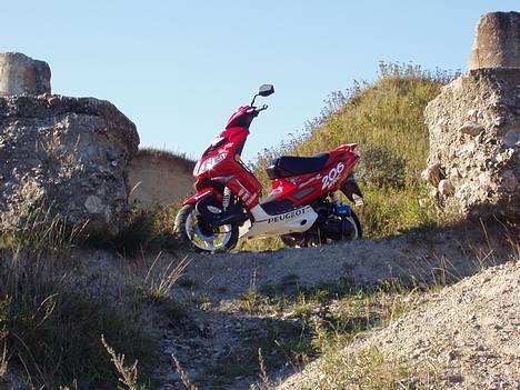 Peugeot wrc 206 || solgt || billede 14