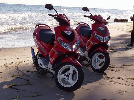 Peugeot wrc 206 || solgt || - -= Team Night Scene =-  billede 15