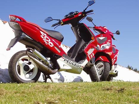 Peugeot wrc 206 || solgt || billede 16