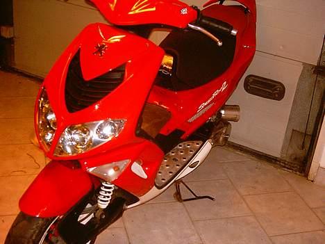 Peugeot Speedfight 206 (solgt) billede 3