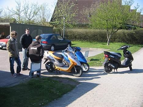 Honda SFX sport billede 3