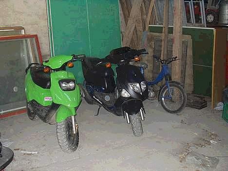 PGO Hot 50  -solgt- - hotten, monarken og projekt BIG billede 2