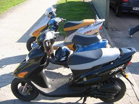 Honda SFX sport billede 6