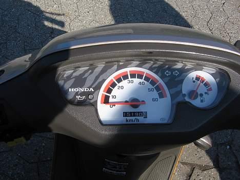 Honda SFX sport billede 7