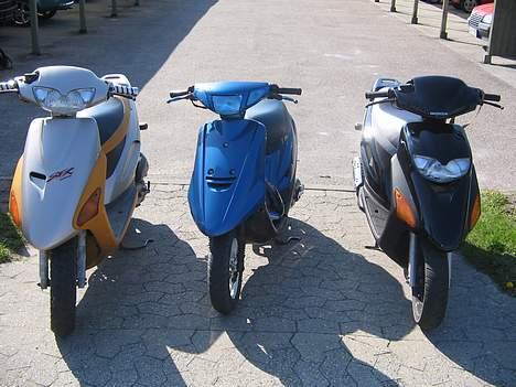 Honda SFX sport billede 8