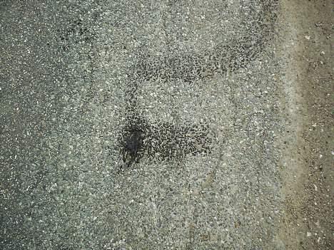 Adly Jet DK´s Grimmeste Solgt billede 11