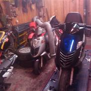 Aprilia SONIC SÆLGES 6500
