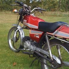 Suzuki DM50 