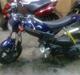 Suzuki street magic