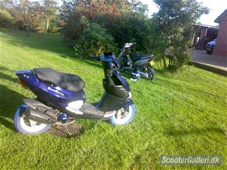 PGO Dr. Big billede 4