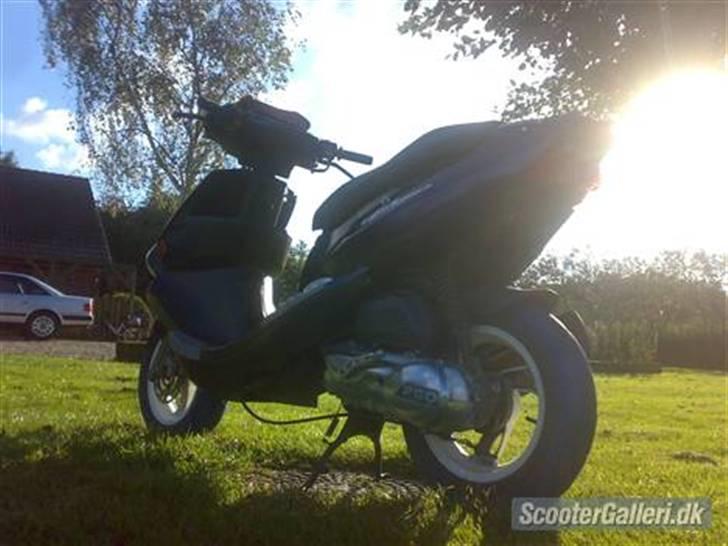 PGO Dr. Big billede 6