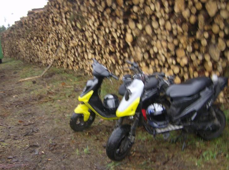 PGO hot projekt billede 10