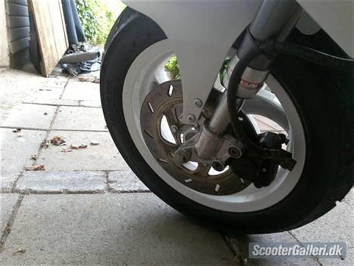 Gilera Stalker - S-æ-l-g-e-s BYD BYD BYD billede 12