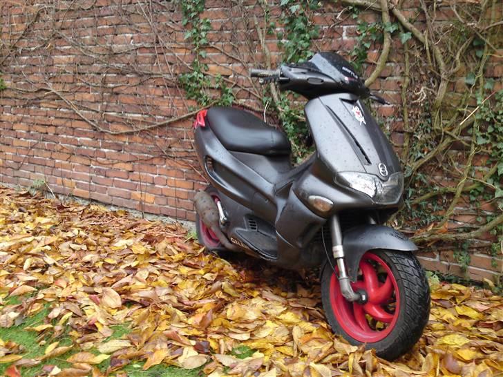 Gilera Runner billede 1