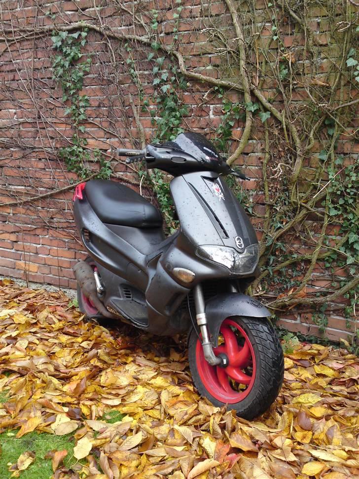 Gilera Runner billede 2