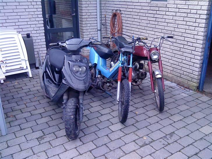 Yamaha sting billede 6