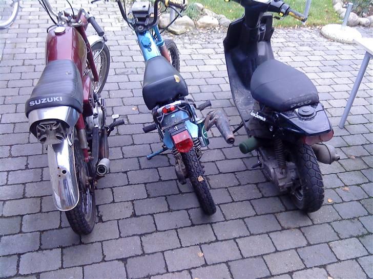 Yamaha sting billede 8