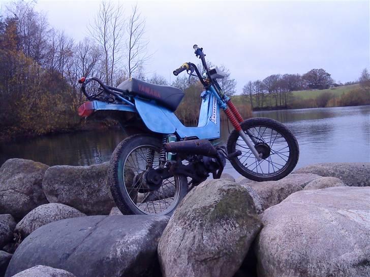 Yamaha sting billede 13