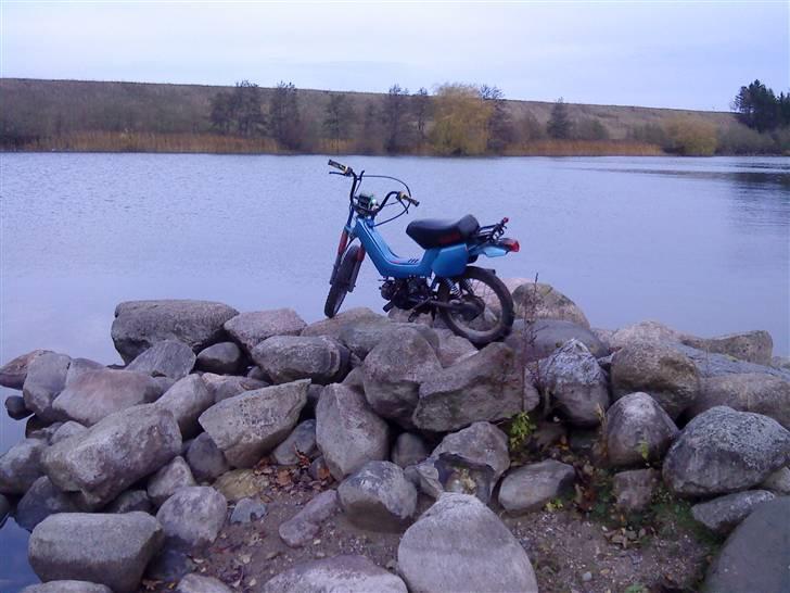 Yamaha sting billede 14