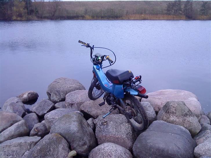 Yamaha sting billede 15