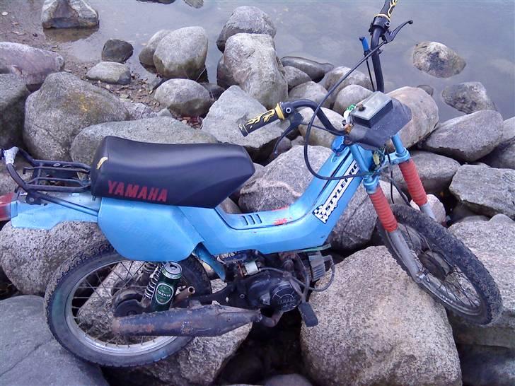 Yamaha sting billede 17