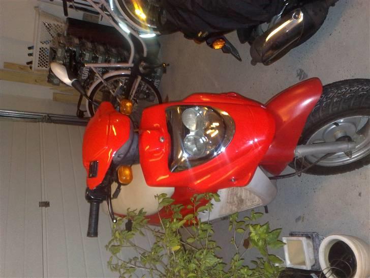 PGO hot 50 solgt billede 2