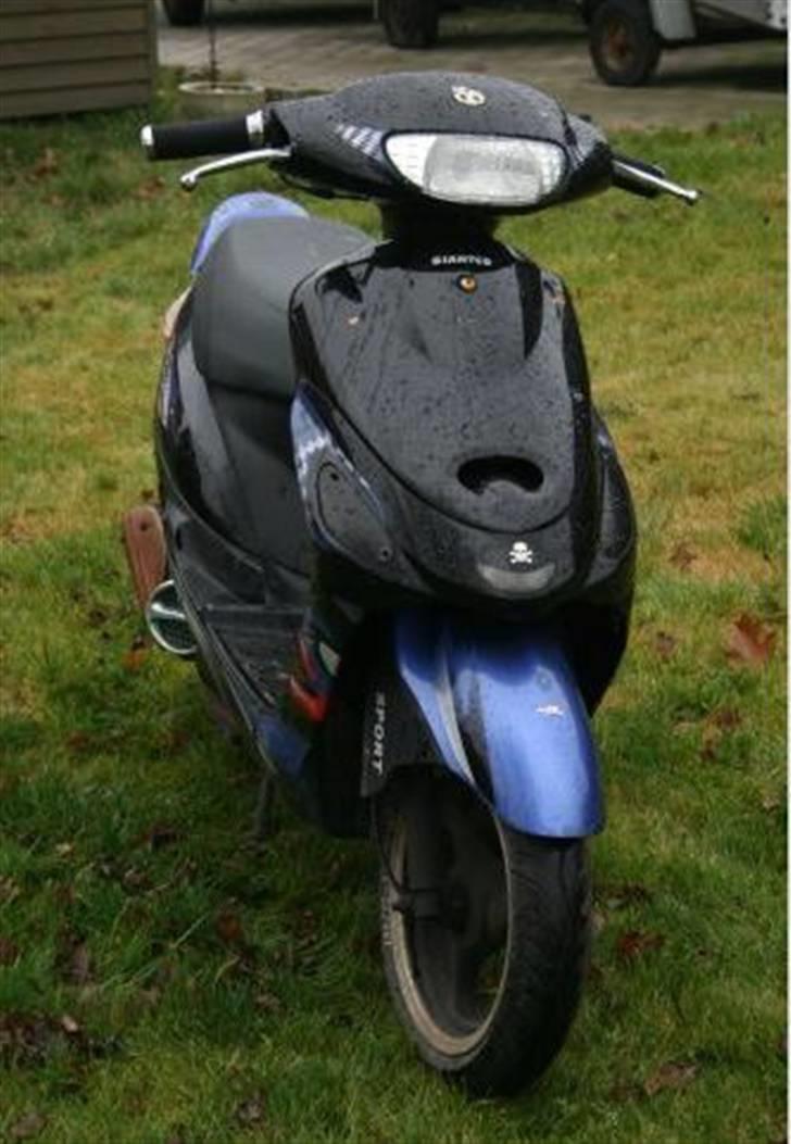 Giantco Sprint Sport AC SD billede 4