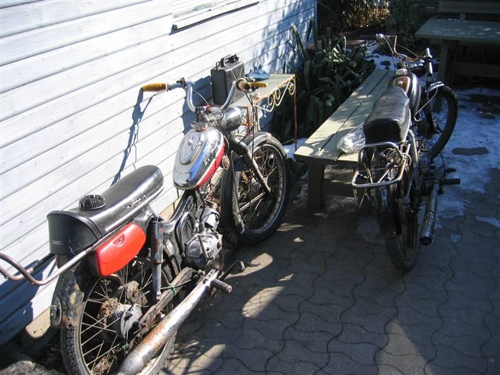 Tomos . SOLGT billede 2