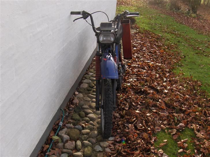 Yamaha Sting - solgt billede 4