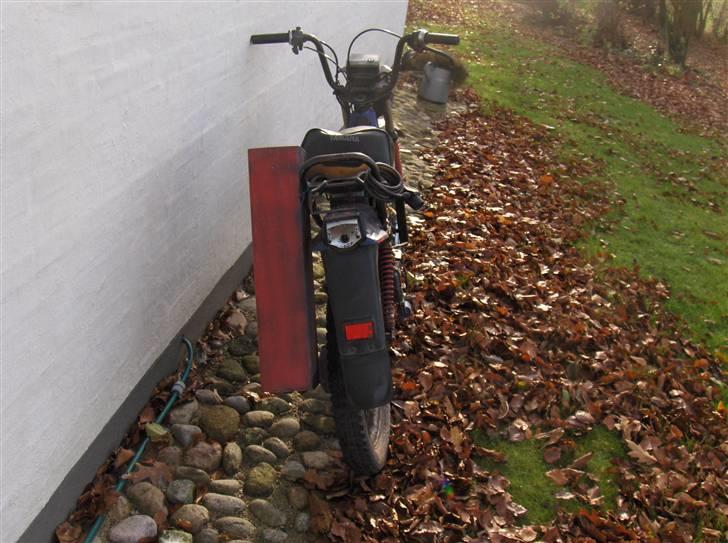 Yamaha Sting - solgt billede 7