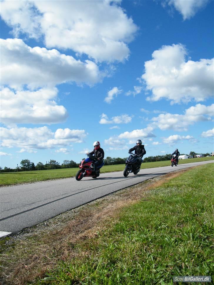 Yamaha Rox TS2 20.36 -  - SSW2 billede 15