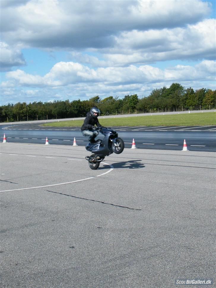 Yamaha Rox TS2 20.36 -  - SSW2 billede 17