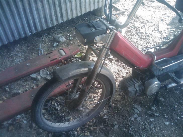 Puch Maxi k til salg billede 5