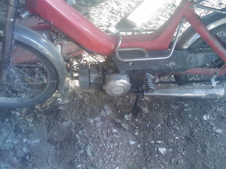 Puch Maxi k til salg billede 6