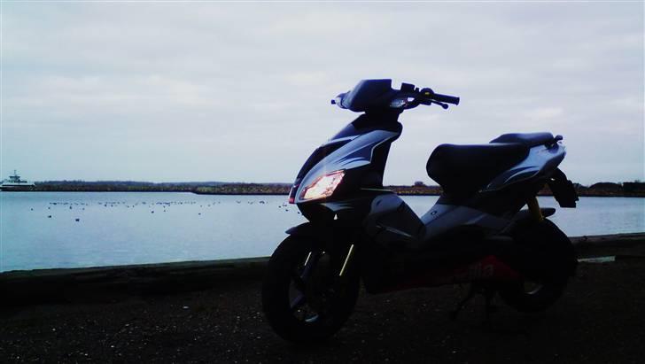 Aprilia Sr50 R Factory LCDD Xenon - Havnen... billede 4