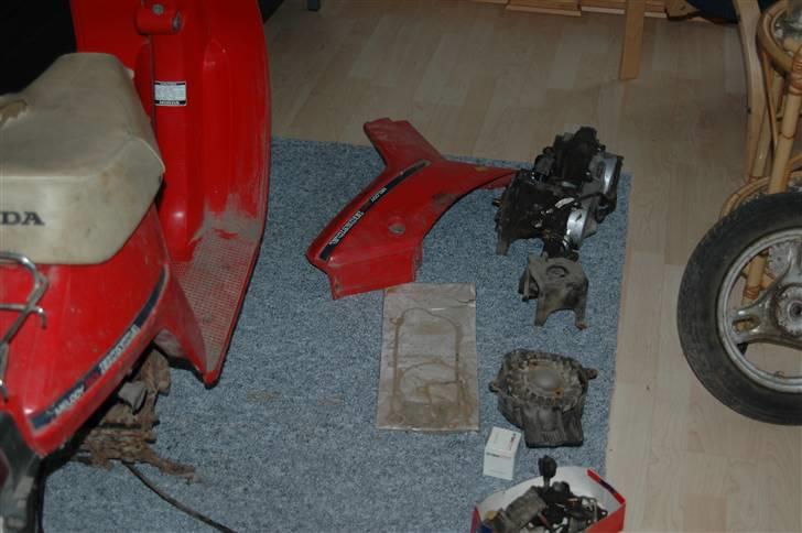 Honda Melody mini NT50 Solgt billede 2