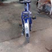 Veteraner AMIGO DISELLA BONNIEsolgt