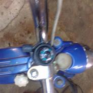 Veteraner AMIGO DISELLA BONNIEsolgt