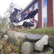 Peugeot speedfight 2