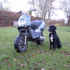 Aprilia Rally *SOLGT*