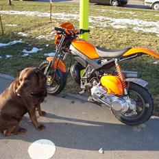 Suzuki Street Magic™ (Byttet)