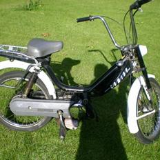 Honda Camino Casanova (Tidl. Scooter)