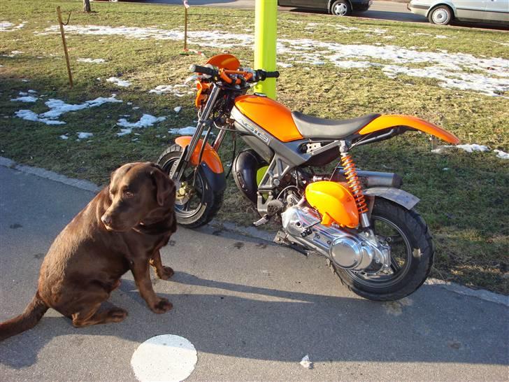 Suzuki Street Magic™ (Byttet) billede 1