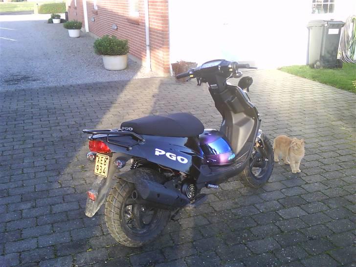 PGO hot 50 sp billede 1