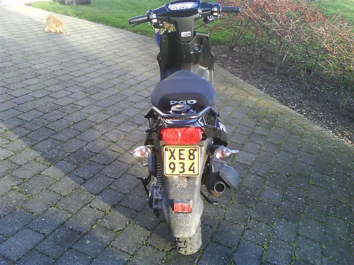 PGO hot 50 sp billede 4