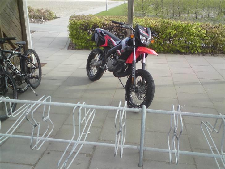 Derbi Senda Xtreme SM LC-ÐÐ SOLGT - kinden til, lidt genert. Men usædvanlig fræk. ;) billede 16