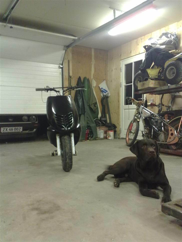 Aprilia Sonic T.C.R billede 2