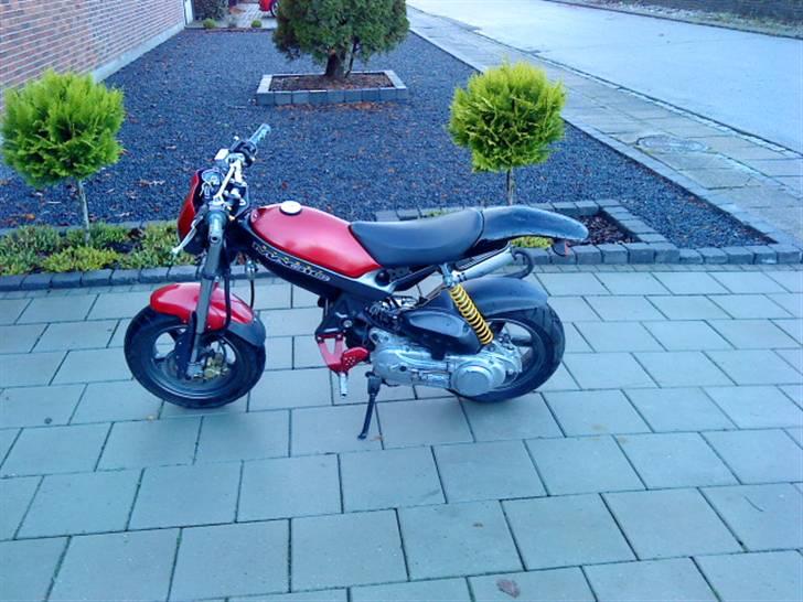 Suzuki Street Magic  billede 5