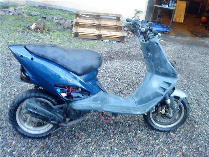 Adly cat 50  billede 1