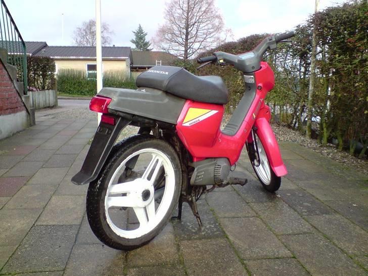 Honda Wallaroo billede 5